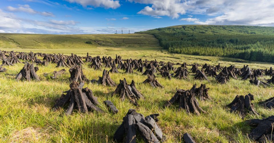 Ireland’s Peat Bogs Preserve Sacrificial Bodies & Artefacts