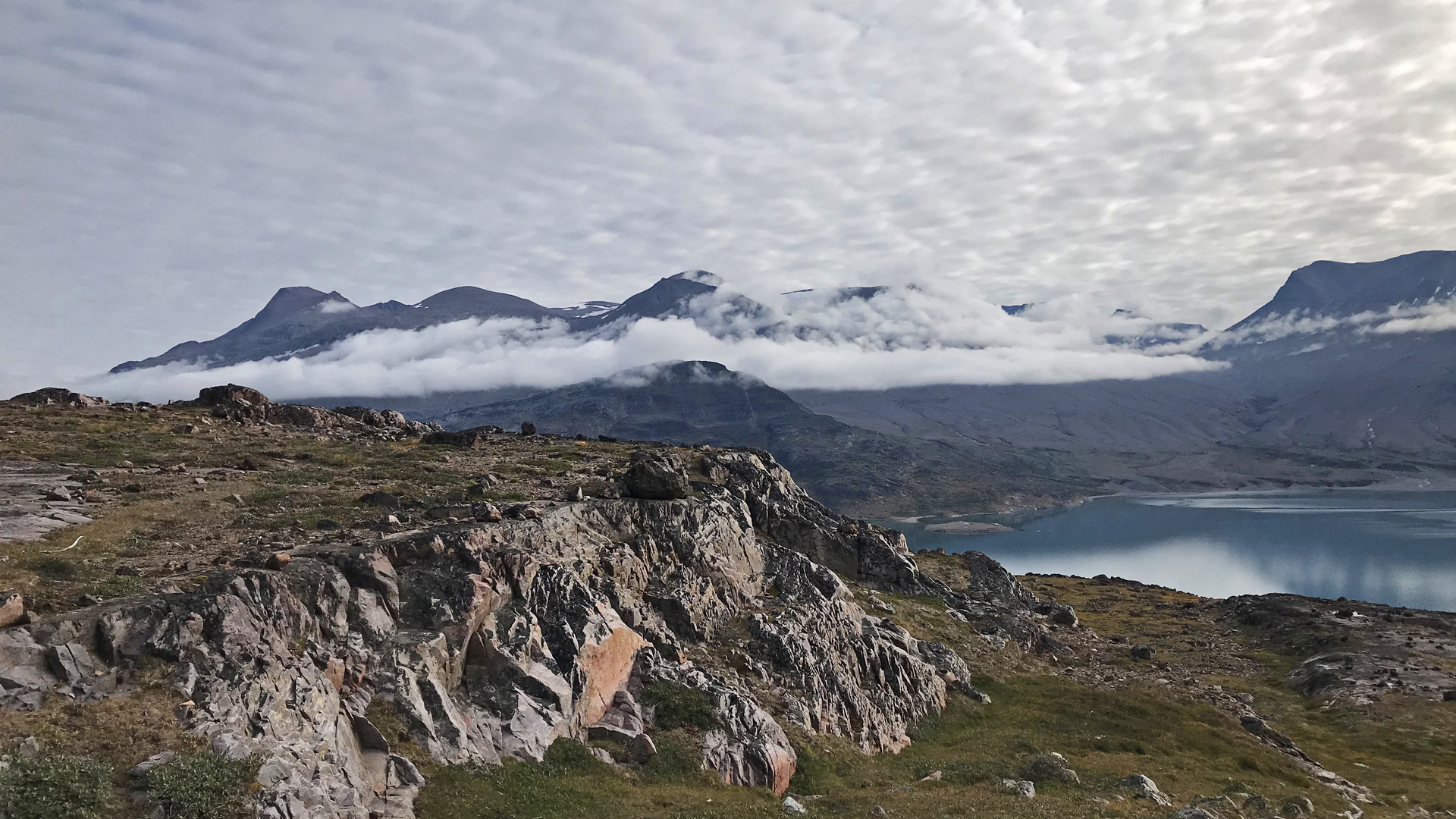 Scientists stunned to discover plants beneath mile-deep Greenland ice