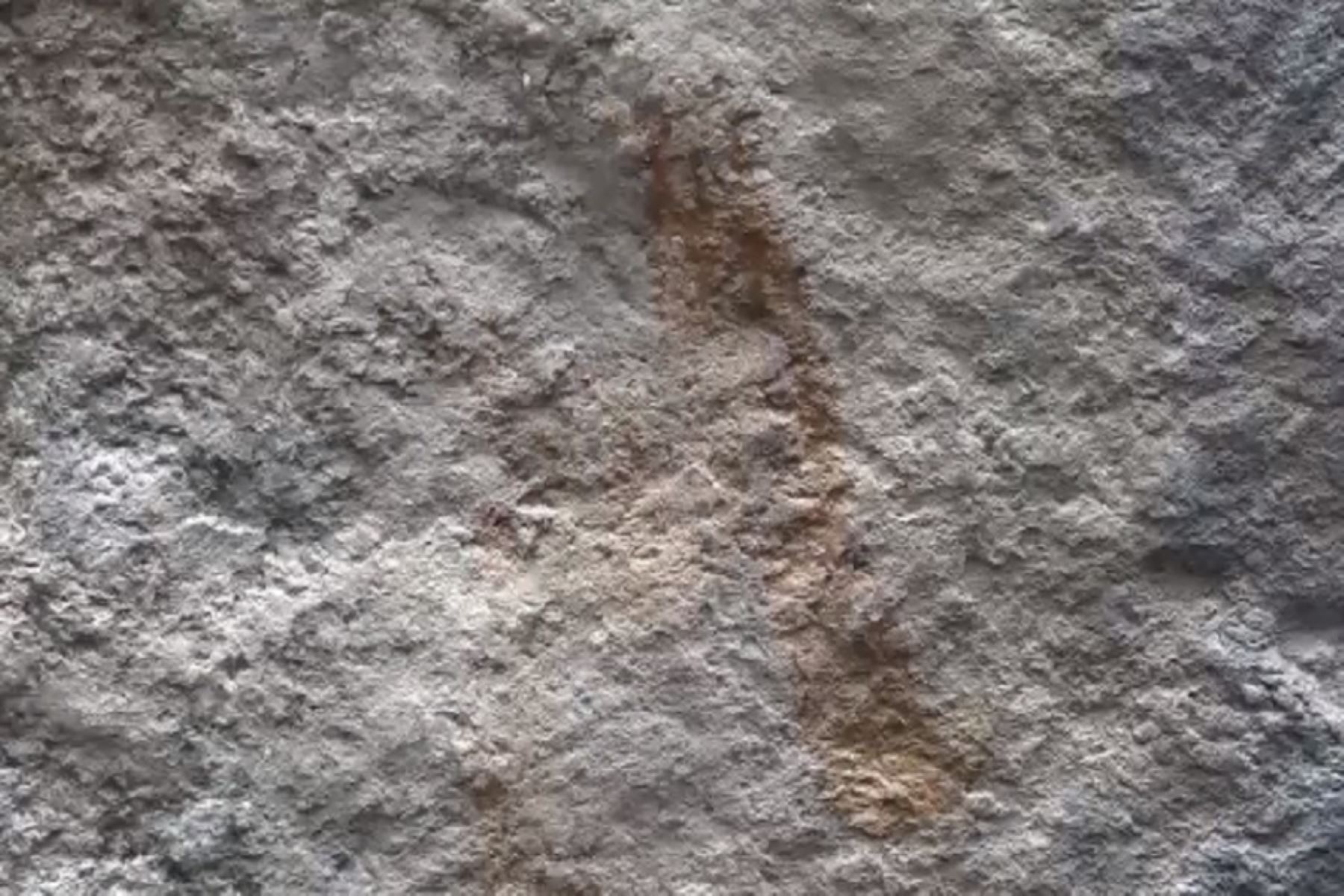 Rock Art Discovered Near Machu Picchu