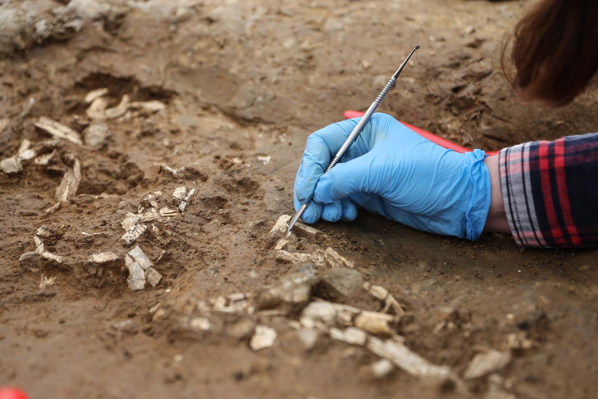 Early Bronze Age Burials Uncovered in Istanbul