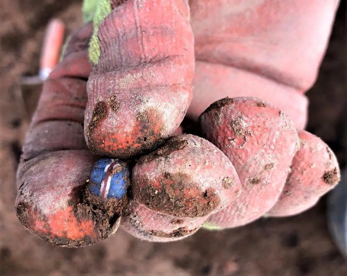 Medieval Artifacts Uncovered in Iceland