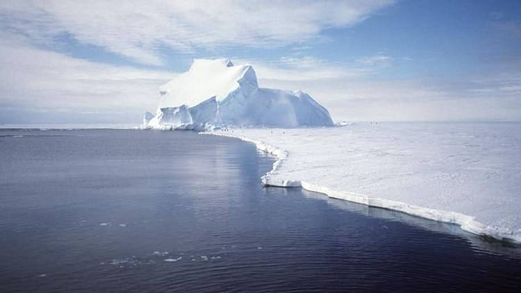 Drilling under Antarctic ice shelf, scientists find a treasure trove of life with 77 species