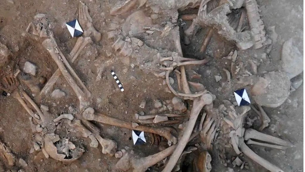 Mᴀss grave of 25 Christian soldiers who were decapitated during a 13th century Crusade is unearthed in Lebanon Mᴀss grave of 25 Christian soldiers who were decapitated during a 13th century Crusade is unearthed in Lebanon