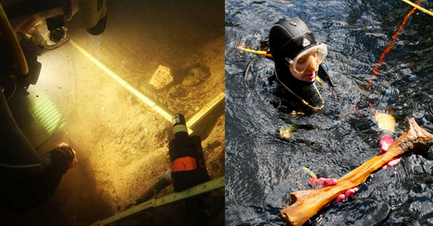 Florida sinkhole discovery suggests humans lived in America 14,500 years ago