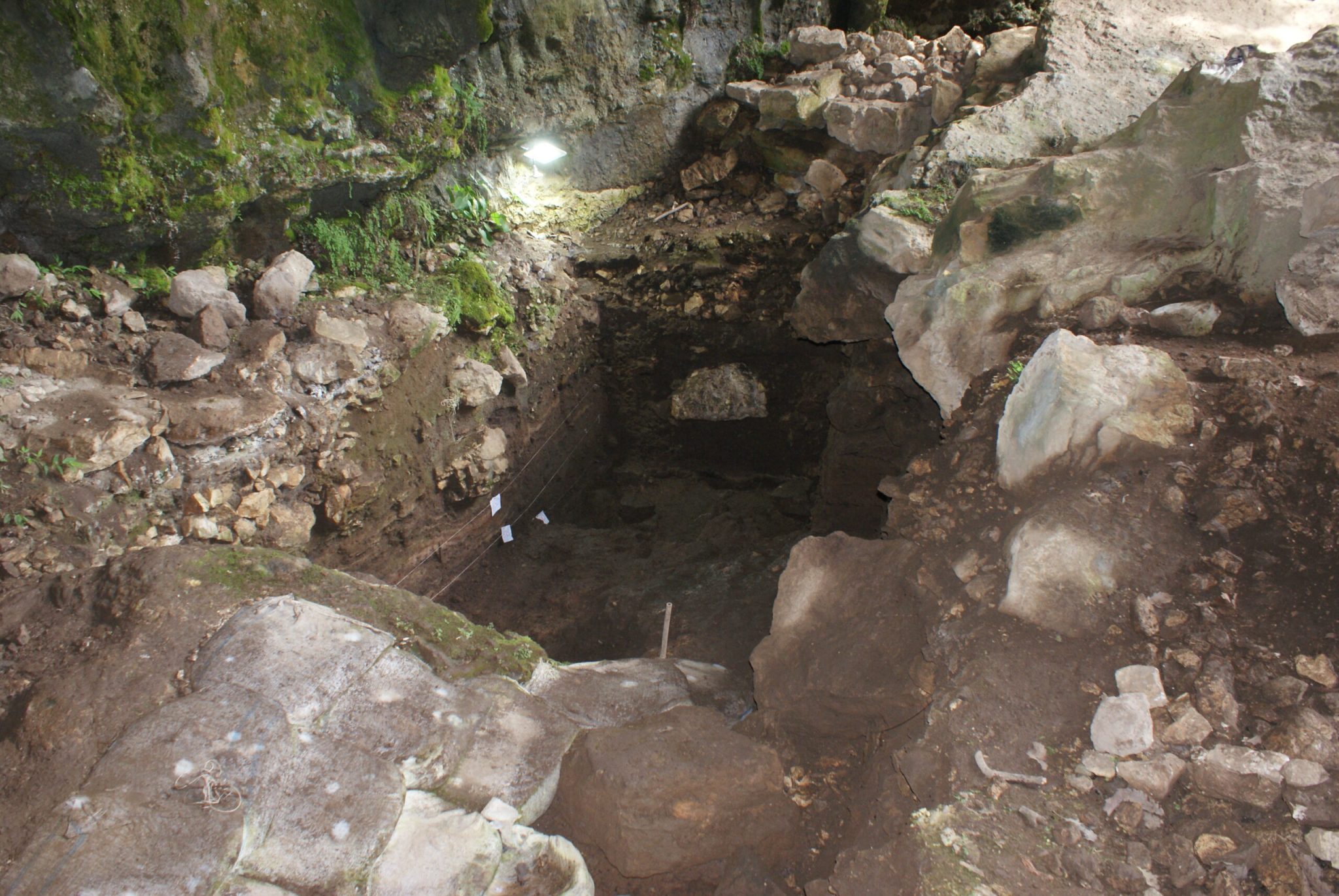 25,000-year-old human genome recovered from cave soil in the Caucasus, western Georgia