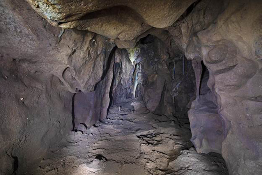 40,000-Year-Old Chamber Of Secrets Discovered At Gorham’s Cave Complex