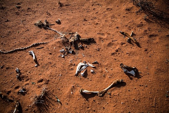 Ice Age humans in Israel lived the good life while contemporaries starved — study Ice Age humans in Israel lived the good life while contemporaries starved — study