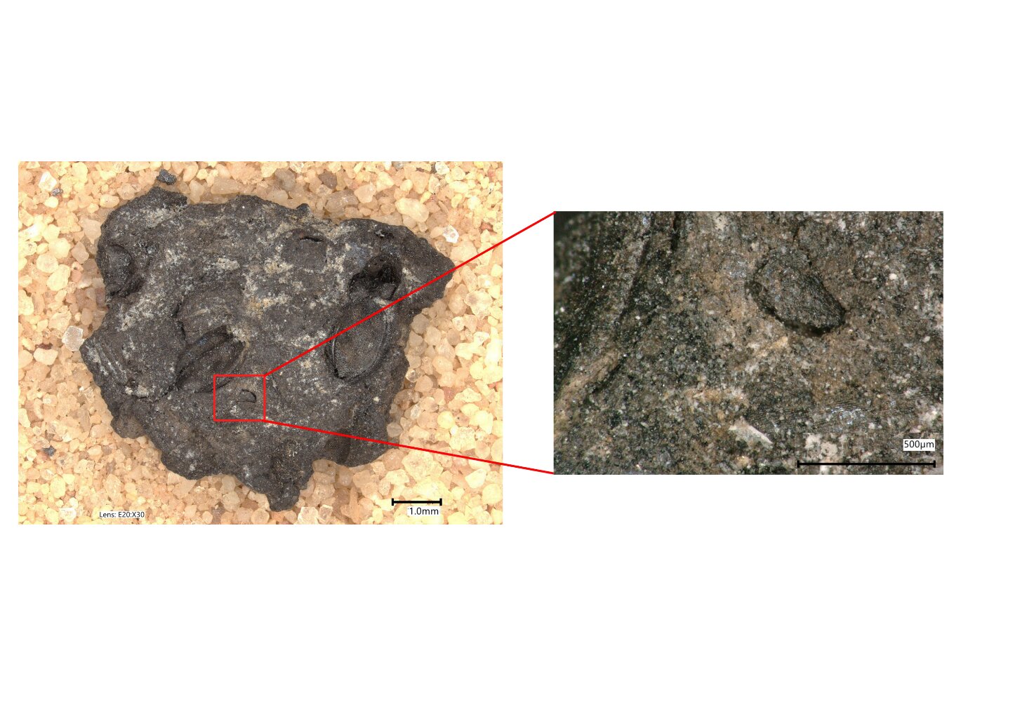 Millet bread and pulse dough from early Iron Age South India: Charred food lumps as culinary indicators