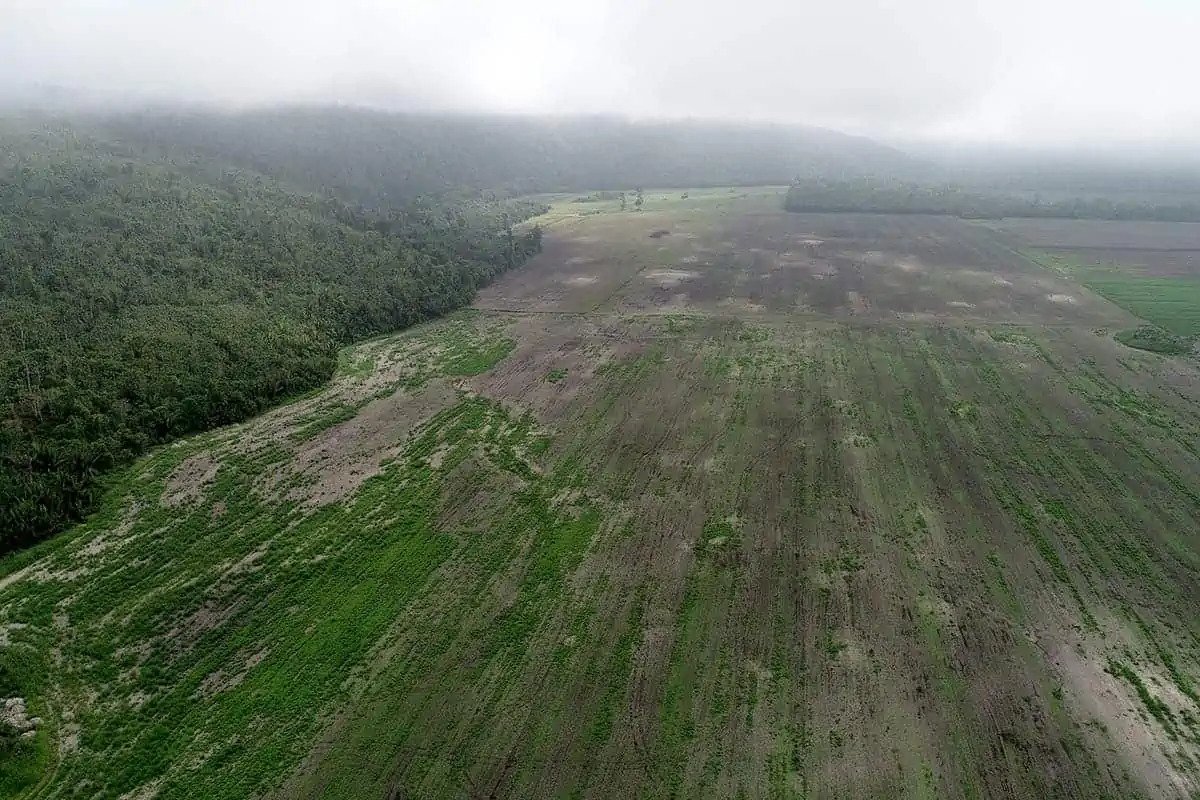 Archaeologists unearth a 1,000-year-old Maya settlement in central Belize