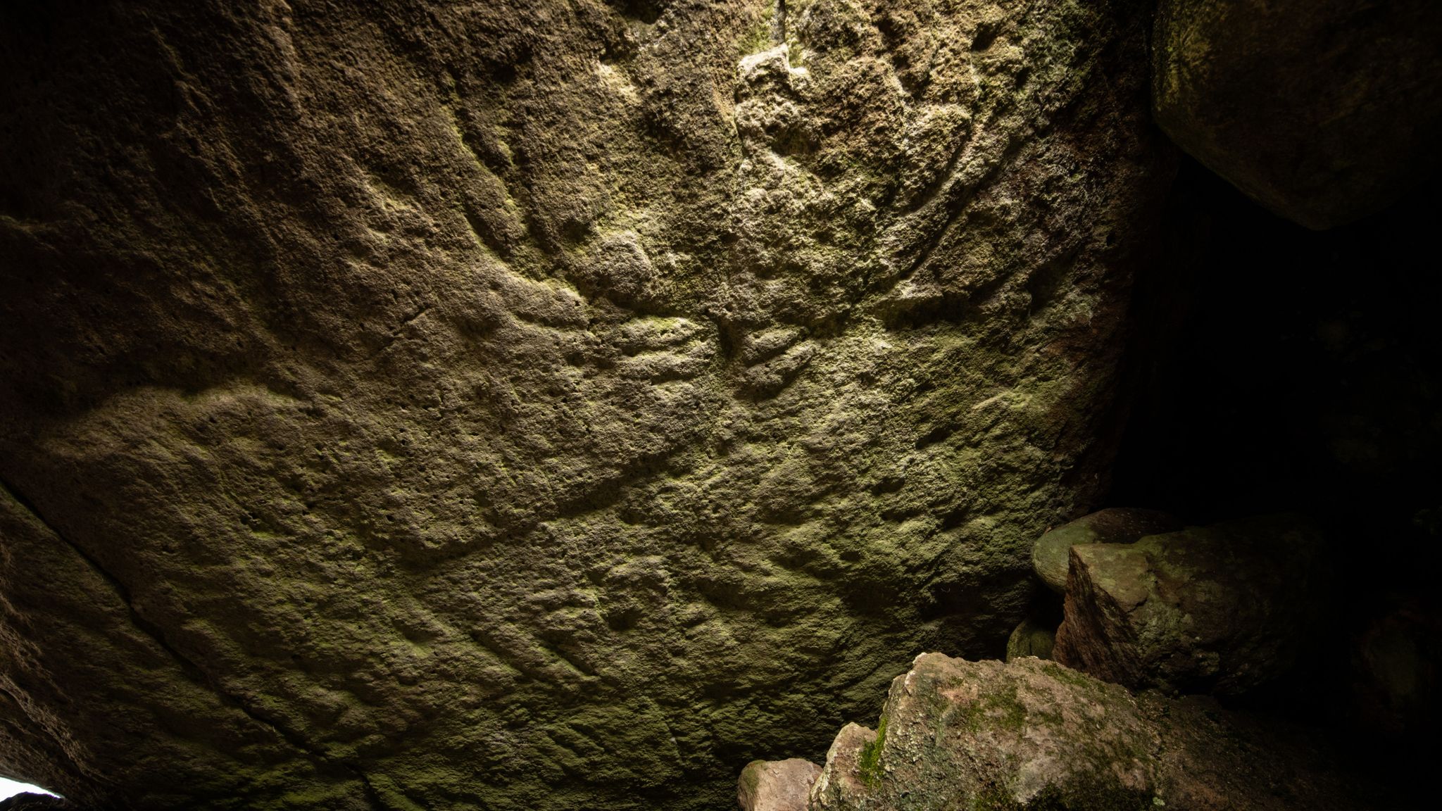 Prehistoric animal carvings found for the first time in Scotland