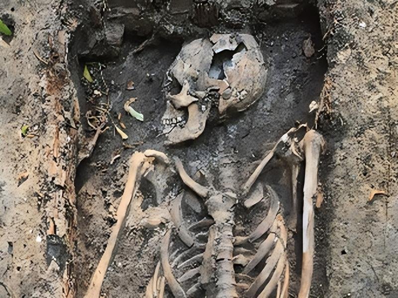 Ghastly discoveries unearthed at 17th-century gallows execution site in Germany