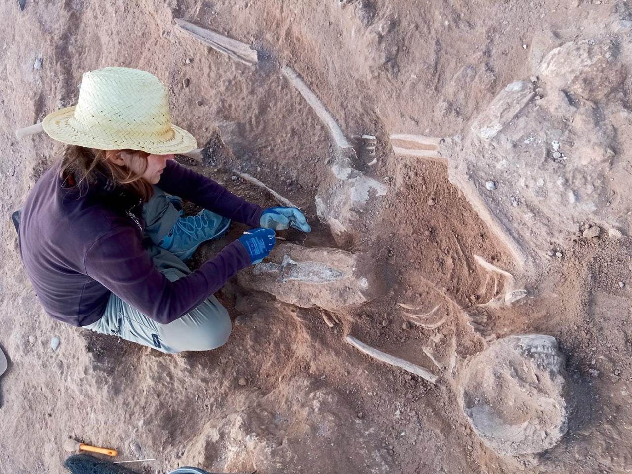 Archaeologists uncover 1,800-year-old Roman soldier burial with dagger at ancient Spanish fortress