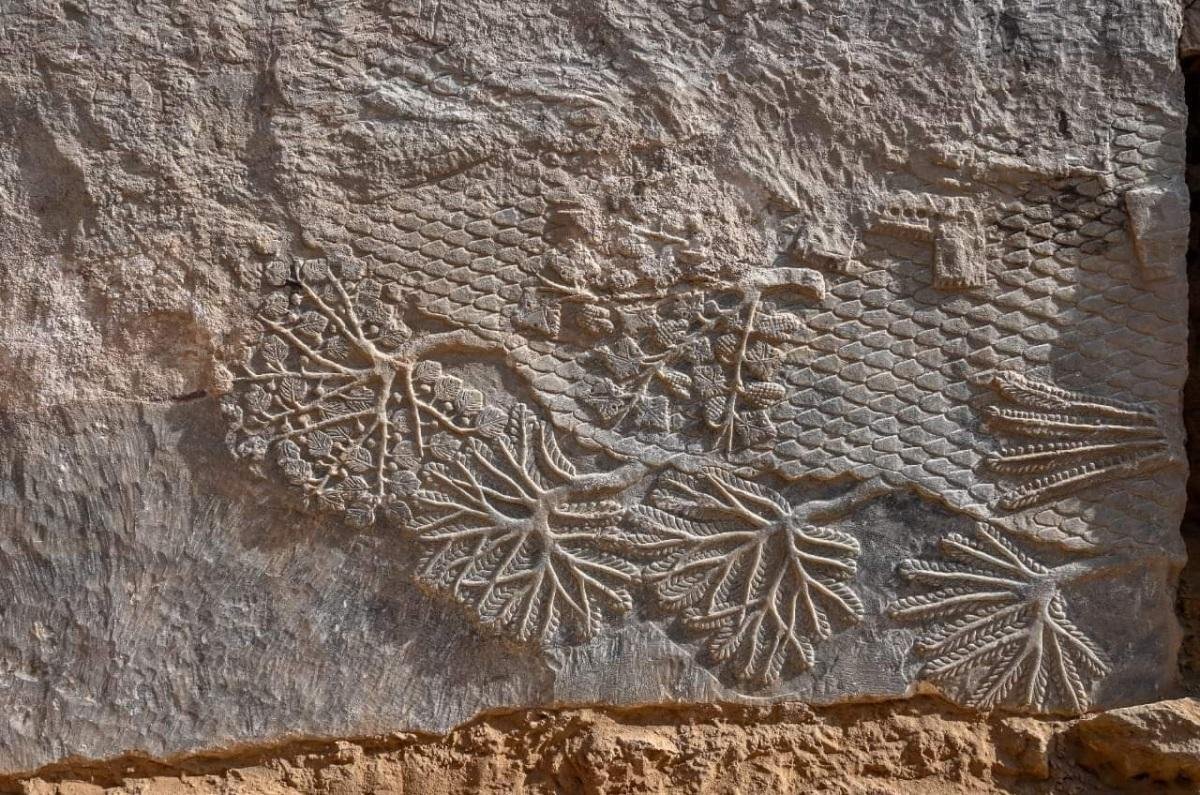 2,700-year-old rock carvings found in Iraq