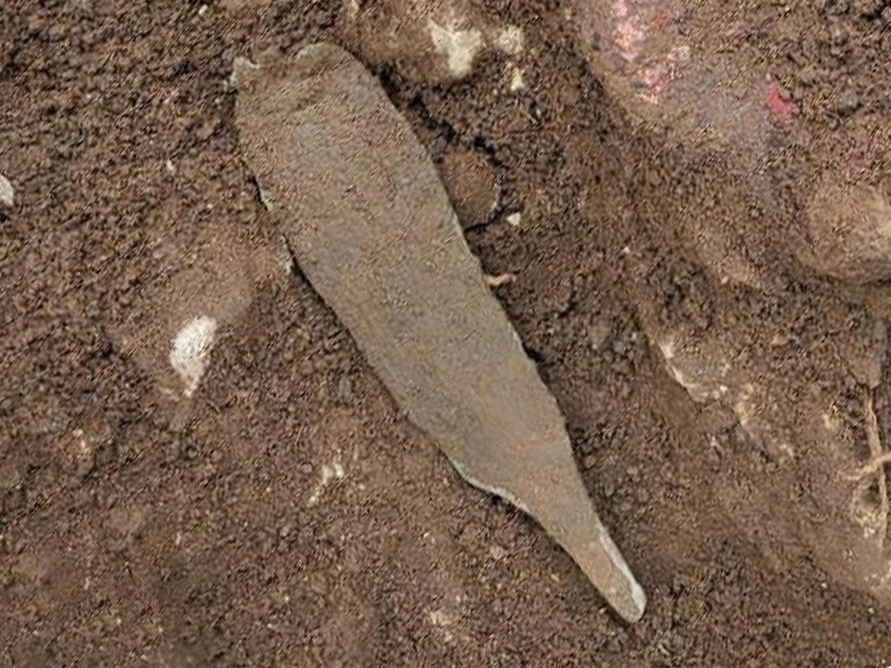 Rare 4,000-year-old copper dagger discovered in Italy Rare 4,000-year-old copper dagger discovered in Italy