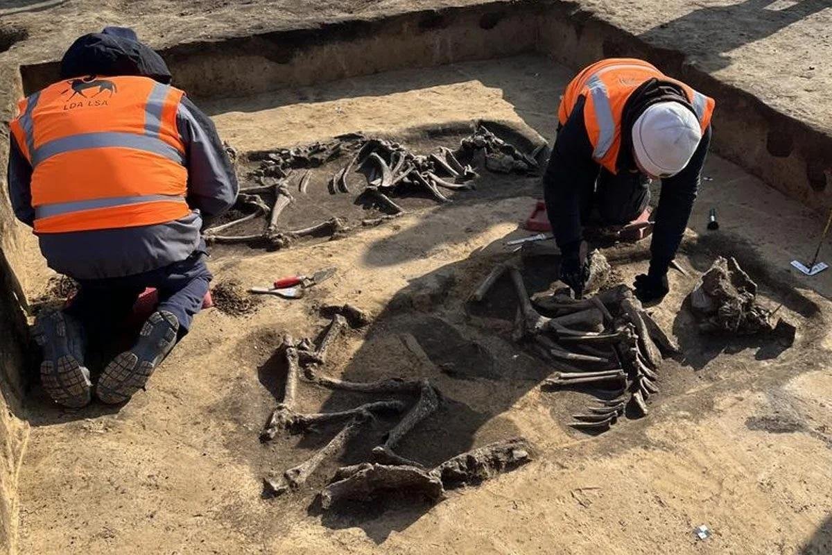 Archaeologists unearth 6,000-year-old mounds containing wooden grave chambers in Germany