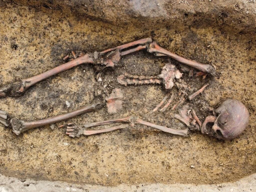 50 exceptionally well-preserved Viking skeletons unearthed in Denmark