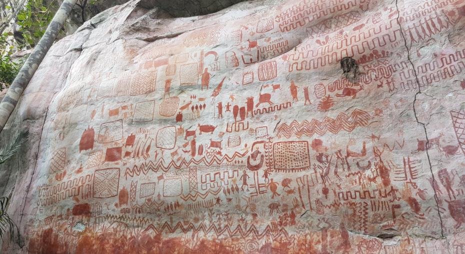 12,500-year-old rock art in Colombian Amazon reveals complex human-animal relationships