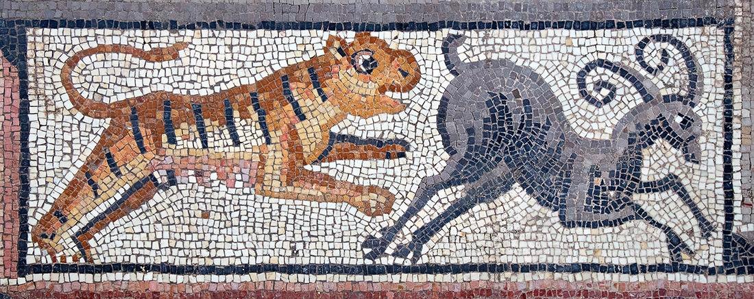 Archaeologists uncovers stunning mosaics in Galilee archaeological dig Archaeologists uncovers stunning mosaics in Galilee archaeological dig