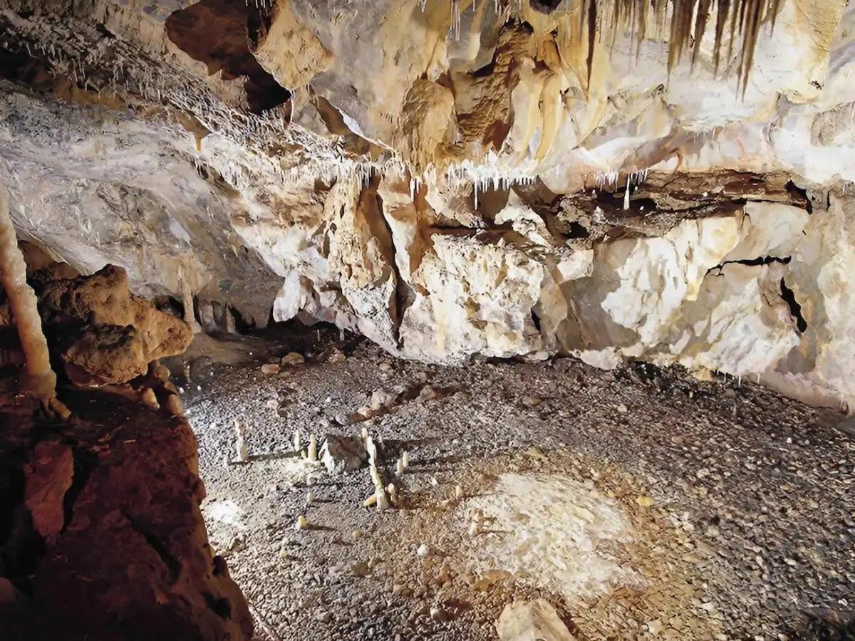 Remains of a Paleolithic dwelling discovered in Spain’s La Garma cave complex