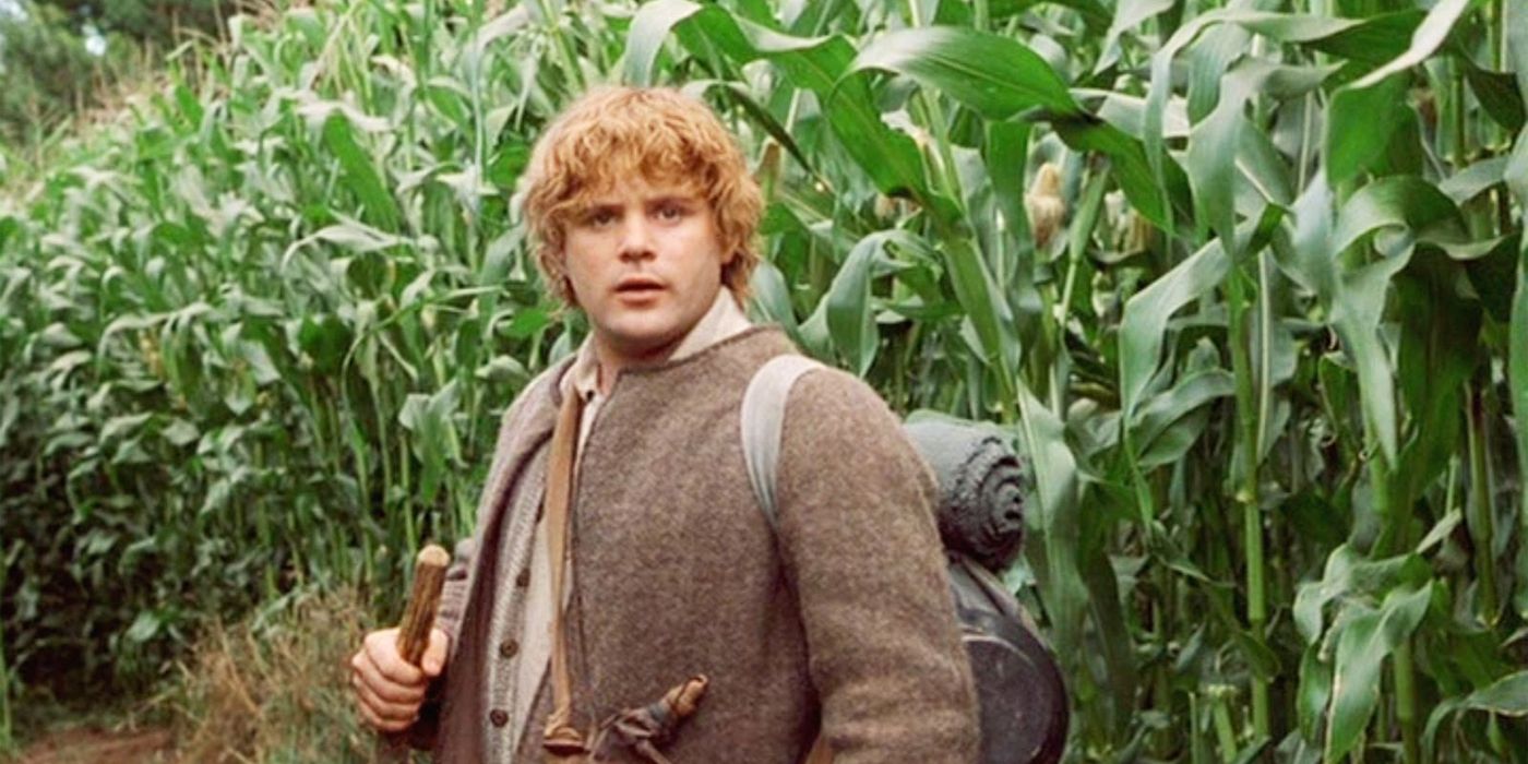 How Long Samwise Gamgee Had The Ring In The Lord Of The Rings