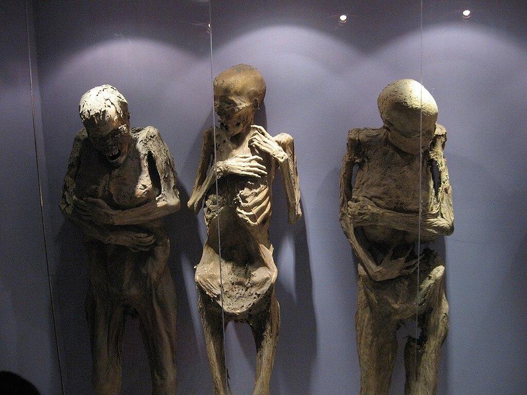 Mummy exhibit may pose health risks, Mexican experts say Mummy exhibit may pose health risks, Mexican experts say