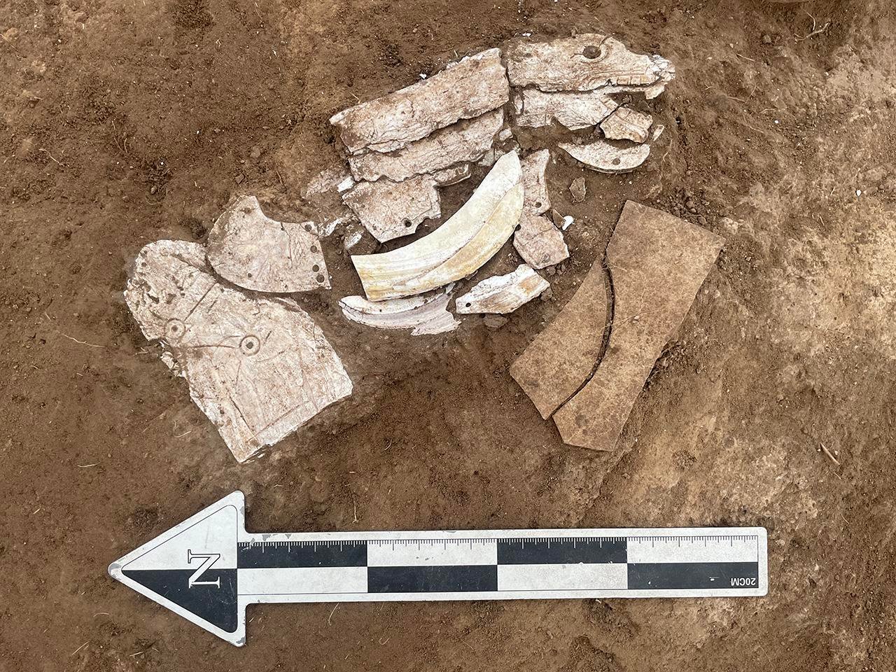 Neolithic dragon made of mussel shells unearthed in Inner Mongolia