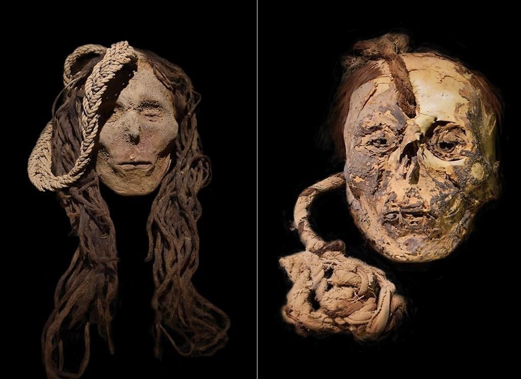 Ancient “trophy head” shows child victim consumed psychedelic San Pedro in Peru