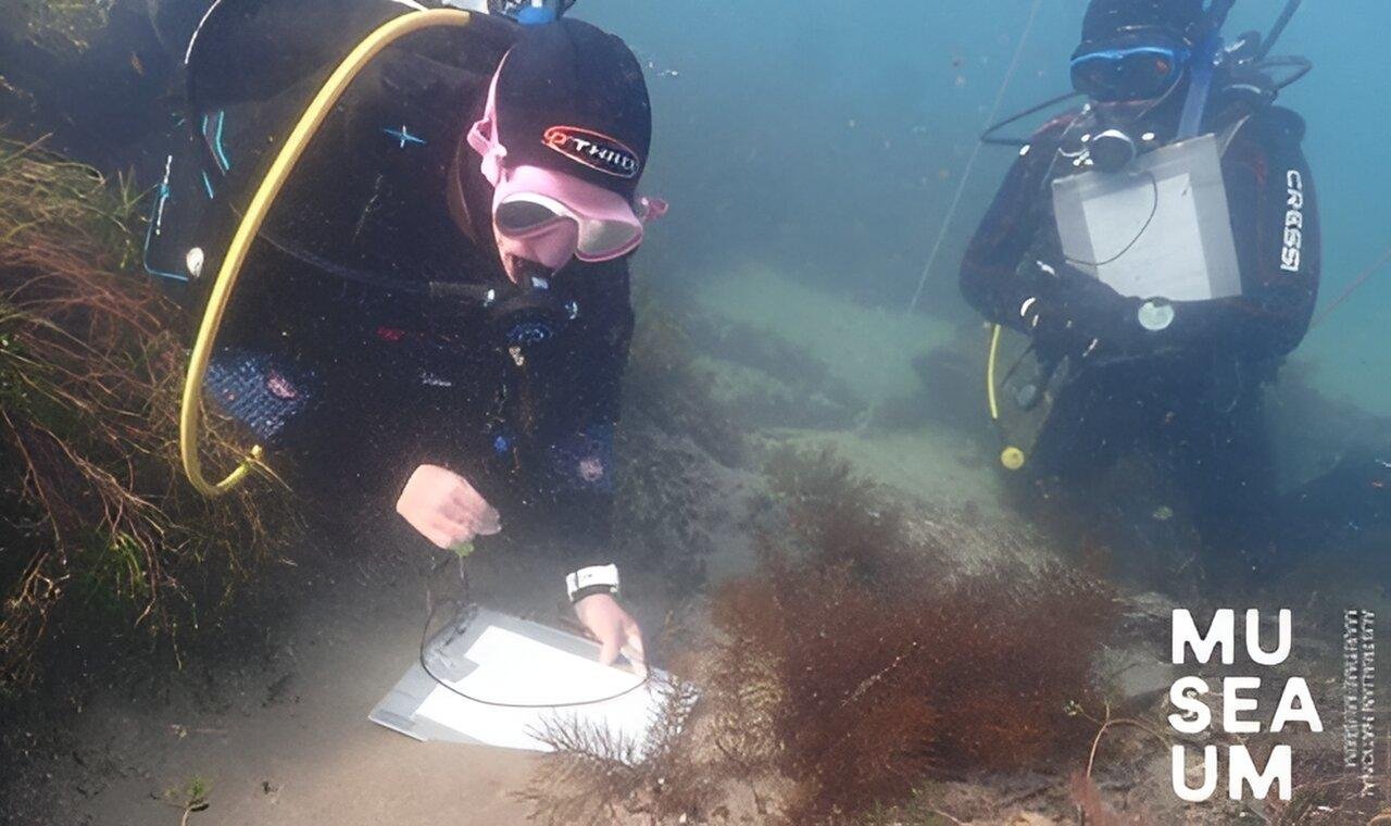 South Australia’s oldest shipwreck reveals rich history and urgent need for preservation