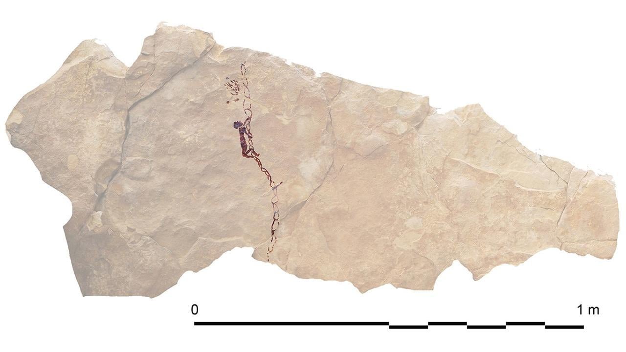 Prehistoric rock art reveals Spanish Levantine societies made ropes for climbing Prehistoric rock art reveals Spanish Levantine societies made ropes for climbing