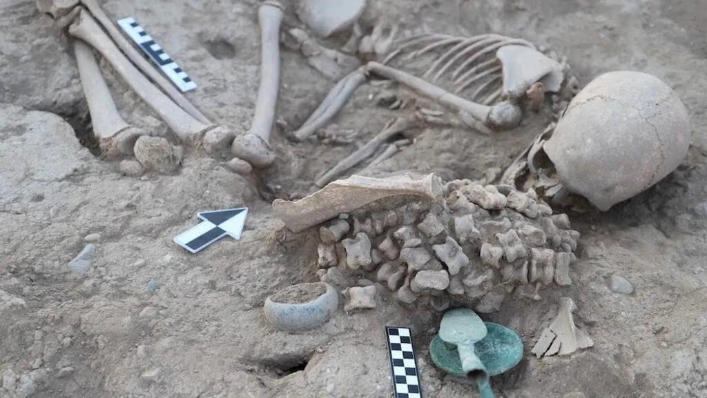 Bronze Age girl buried with more than 150 animal bones reveals clues about Kazakhstan’s past