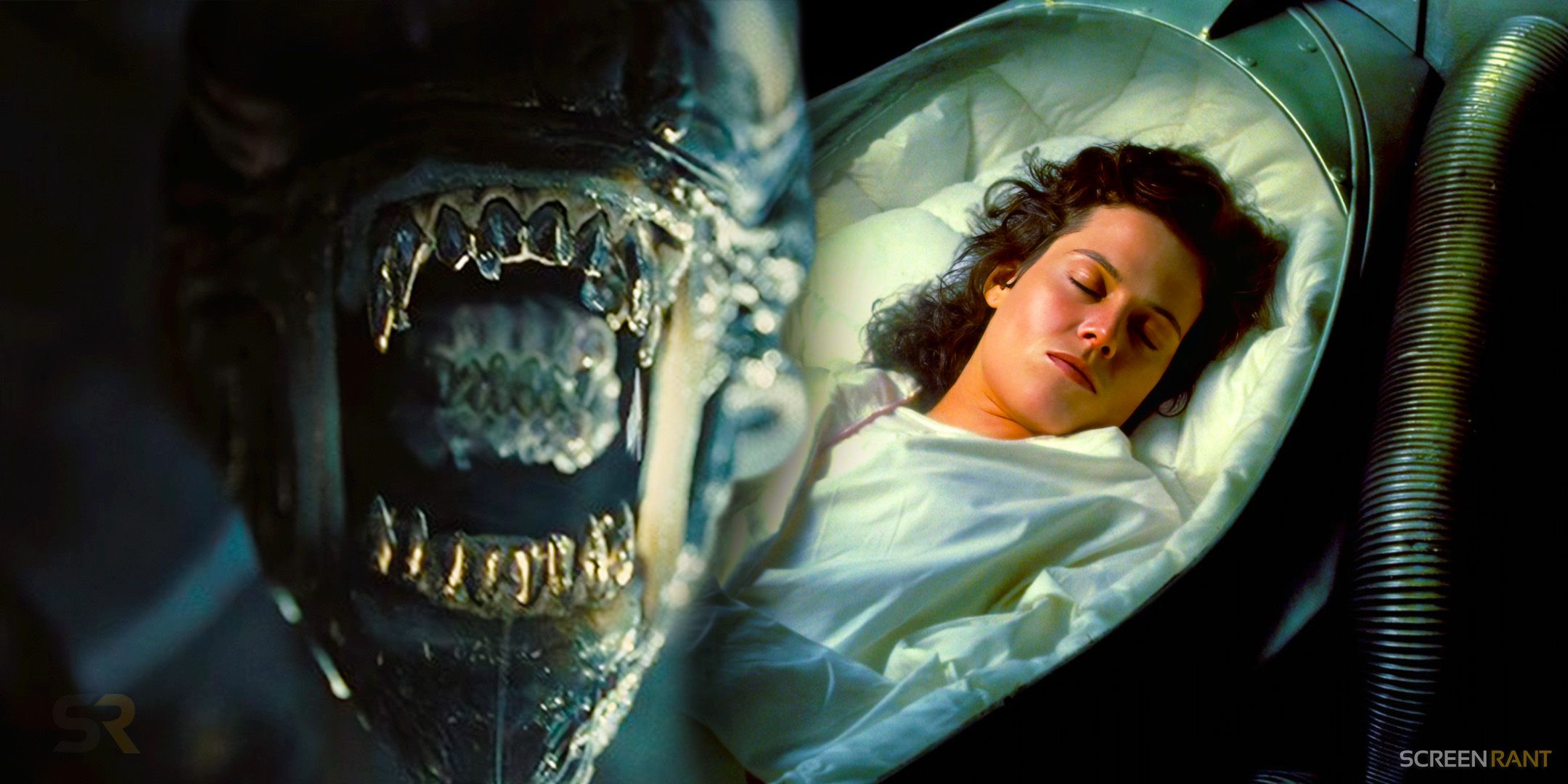 Ripley’s Alien: Romulus Return & Franchise Canon Impact Detailed By Director Of 85% RT Sequel: “There’s A Whole Movie That Happens In Parallel” Ripley’s Alien: Romulus Return & Franchise Canon Impact Detailed By Director Of 85% RT Sequel: “There’s A Whole Movie That Happens In Parallel”