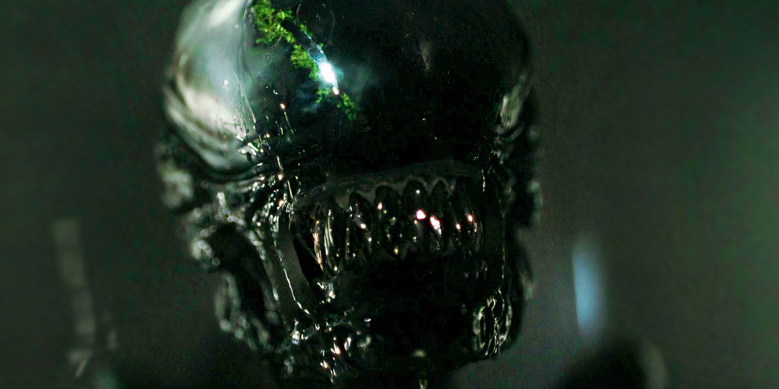 New Alien Vs. Predator Approach (& Why It Might Not Work) Teased By Romulus Director New Alien Vs. Predator Approach (& Why It Might Not Work) Teased By Romulus Director