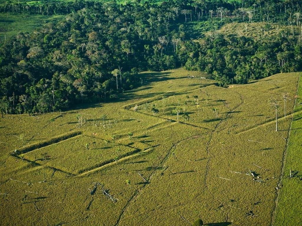 More than 10,000 pre-Columbian earthworks are still hidden beneath Amazon rainforest, new study say