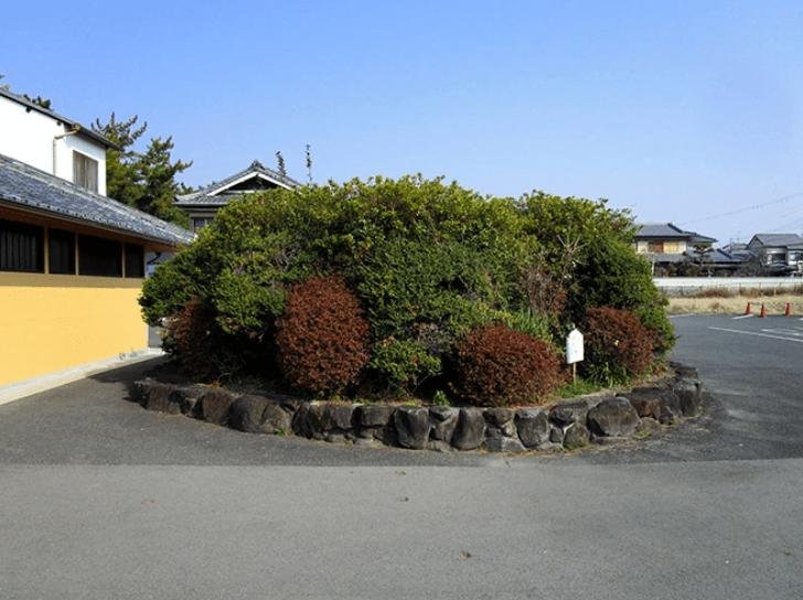 Ancient tomb discovered under parking lot shrub in Nara