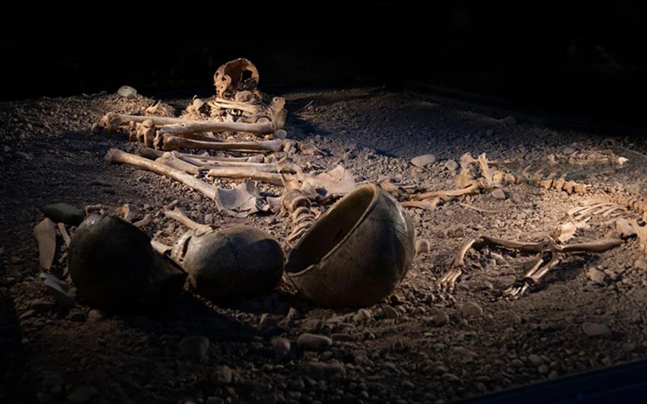 Bacterial diseases were a lethal threat during the Stone Age, study finds