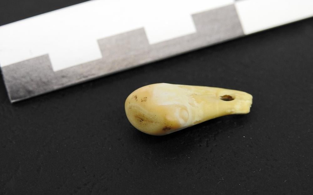 Ancient DNA reveals 20,000-year-old pendant’s owner Ancient DNA reveals 20,000-year-old pendant’s owner