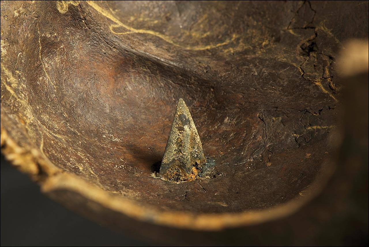 Bronze Age arrowheads and bones reveal grisly insights into Europe’s oldest known battlefield