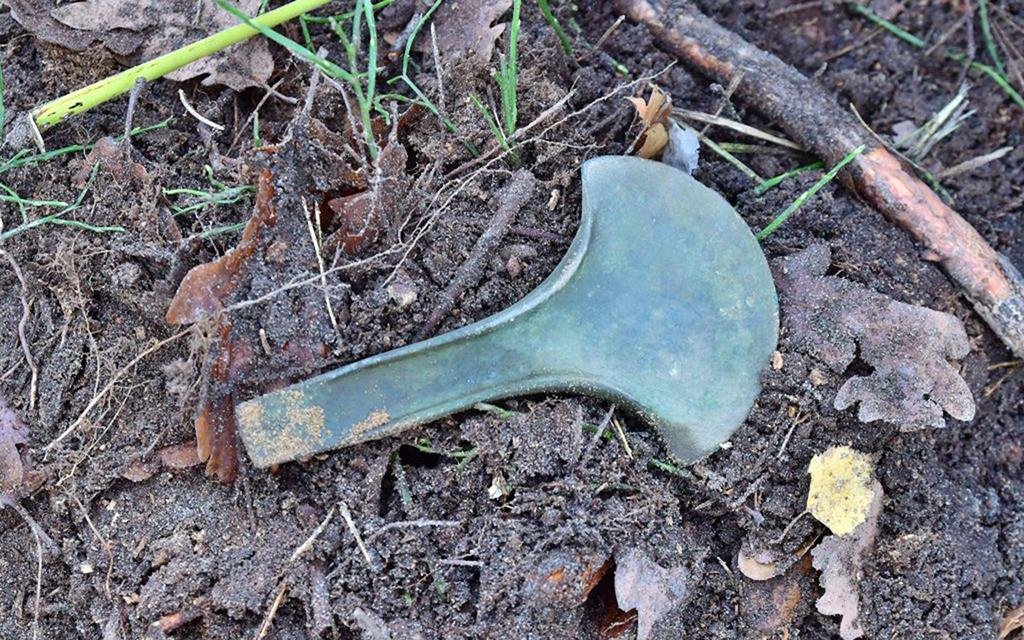 Archaeologists unearth five Bronze Age axes in the forests of Poland