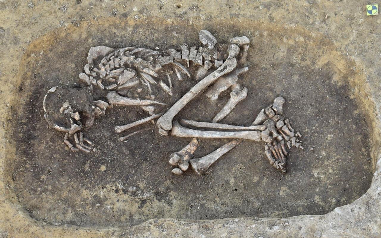 The oldest Bronze Age plague victims in Austria identified The oldest Bronze Age plague victims in Austria identified