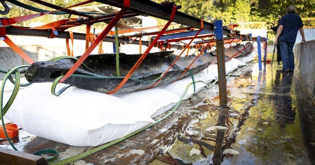 2,500-year-old canoe in remarkable condition discovered in Swiss lake