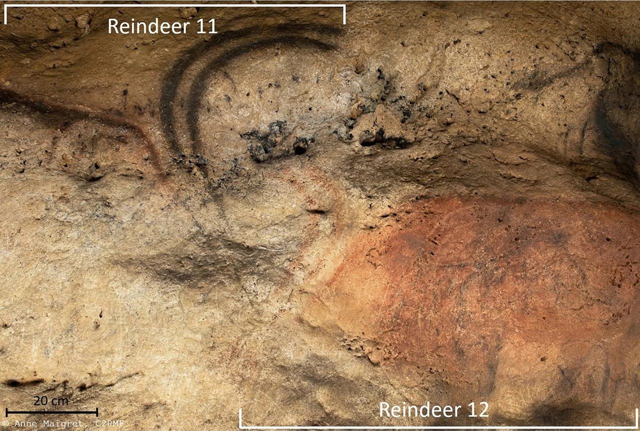 First discovery of carbon-based cave art in France’s Dordogne region