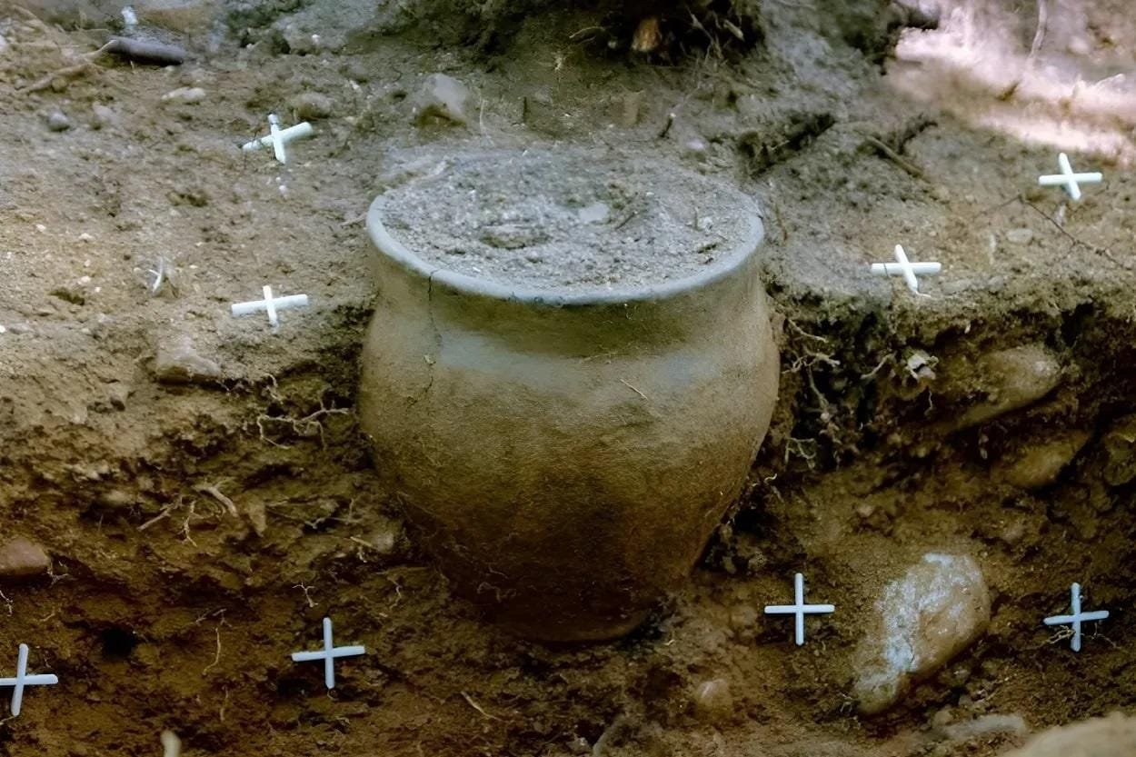 Ceramic urns found at Przeworsk culture cemetery in Poland