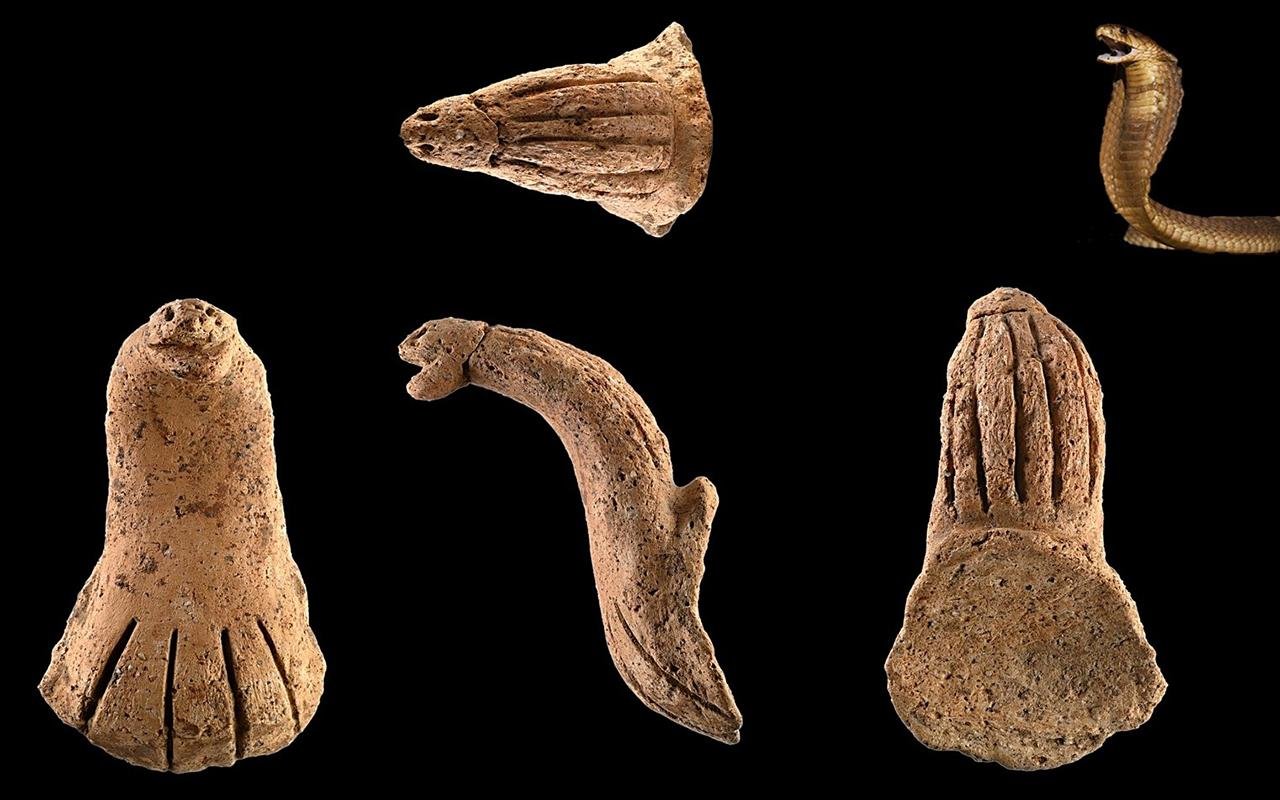 4,000-year-old cobra-shaped pottery handle found in Taiwan