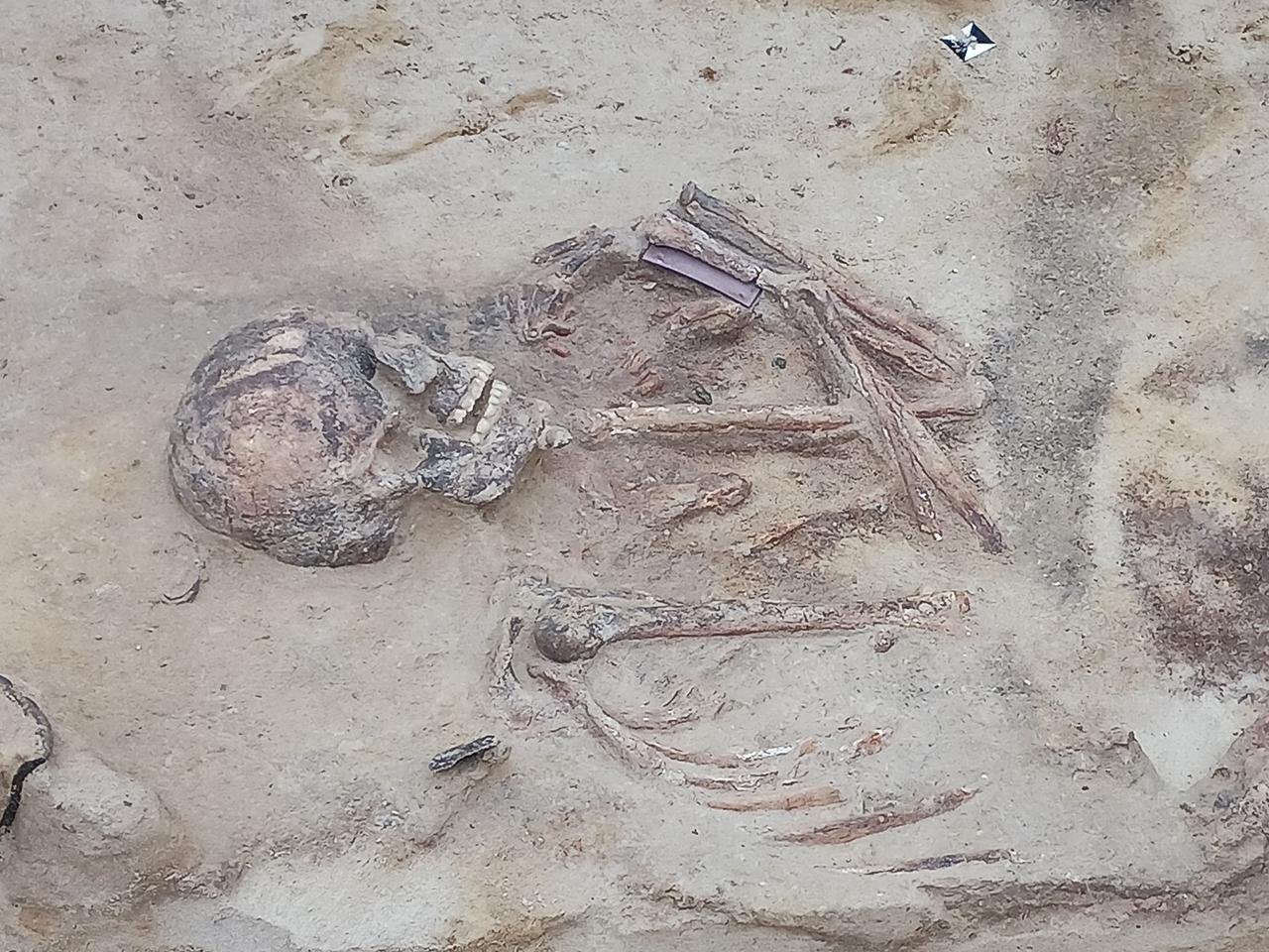 4,500-year-old Copper Age warrior burials unearthed in Germany