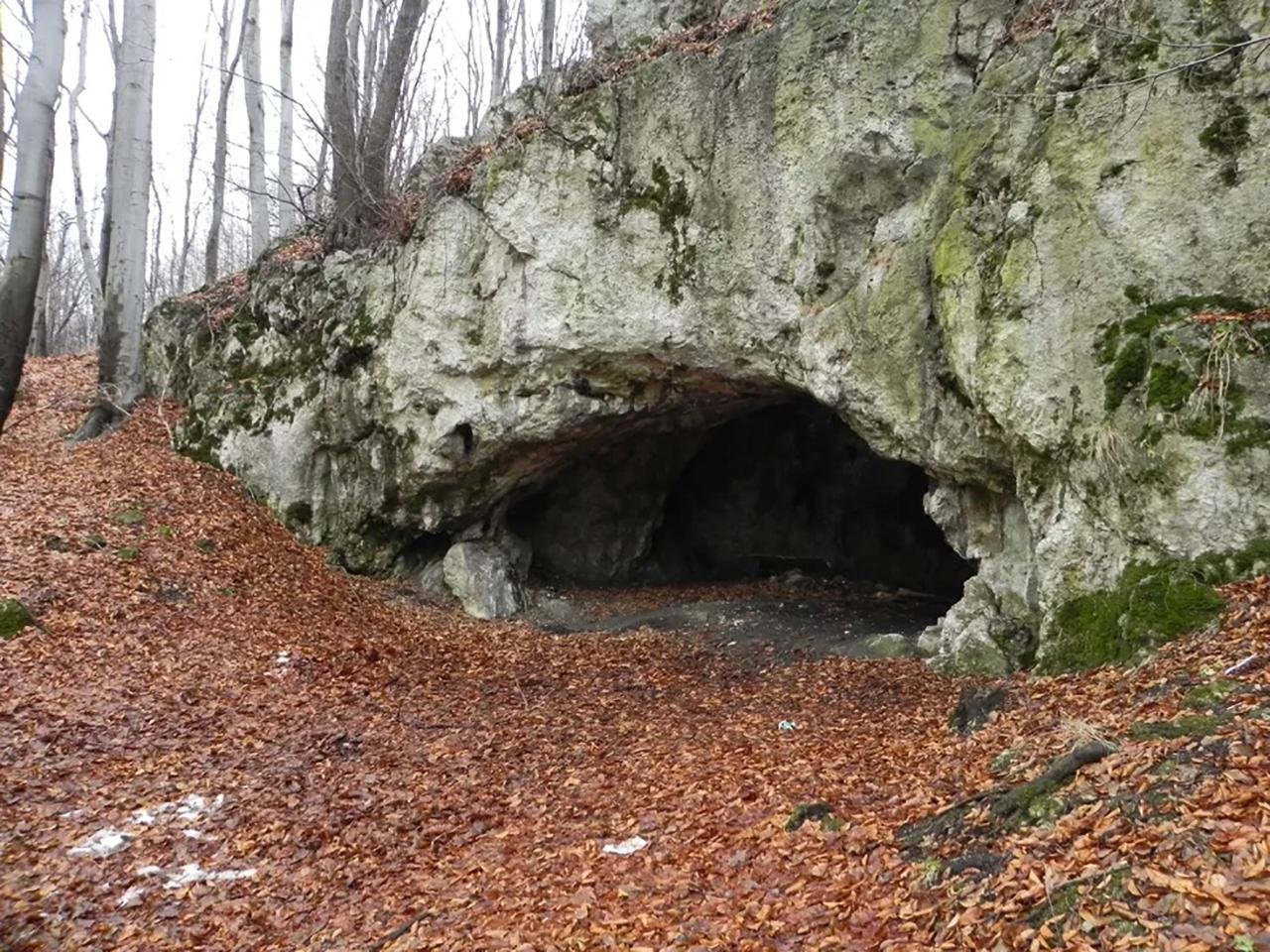 18,000-year-old evidence of cultural cannibalism uncovered in Poland’s Maszycka Cave