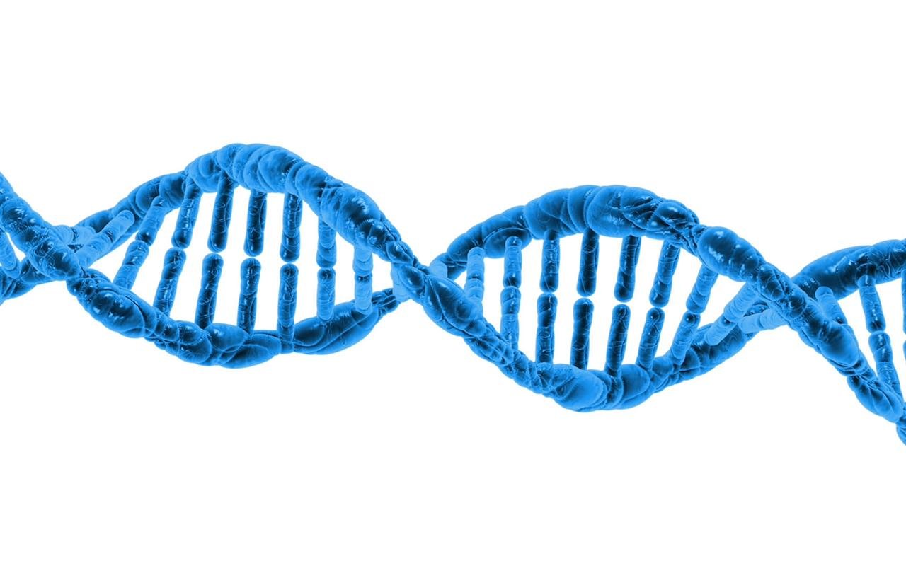 A genetic history of mobility in the Iron Age central Mediterranean revealed by study