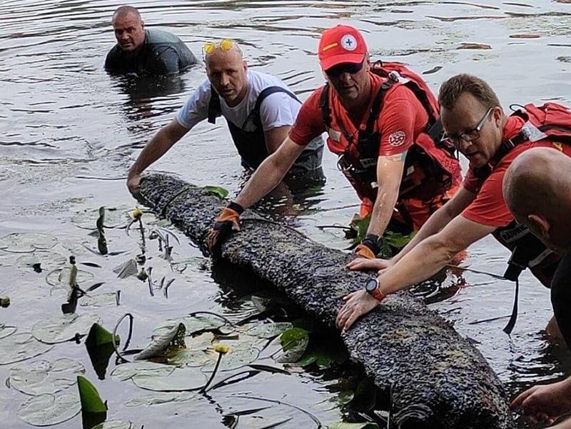 Archaeologists discover historic dugout canoe in Poland river near Modlin Fortress