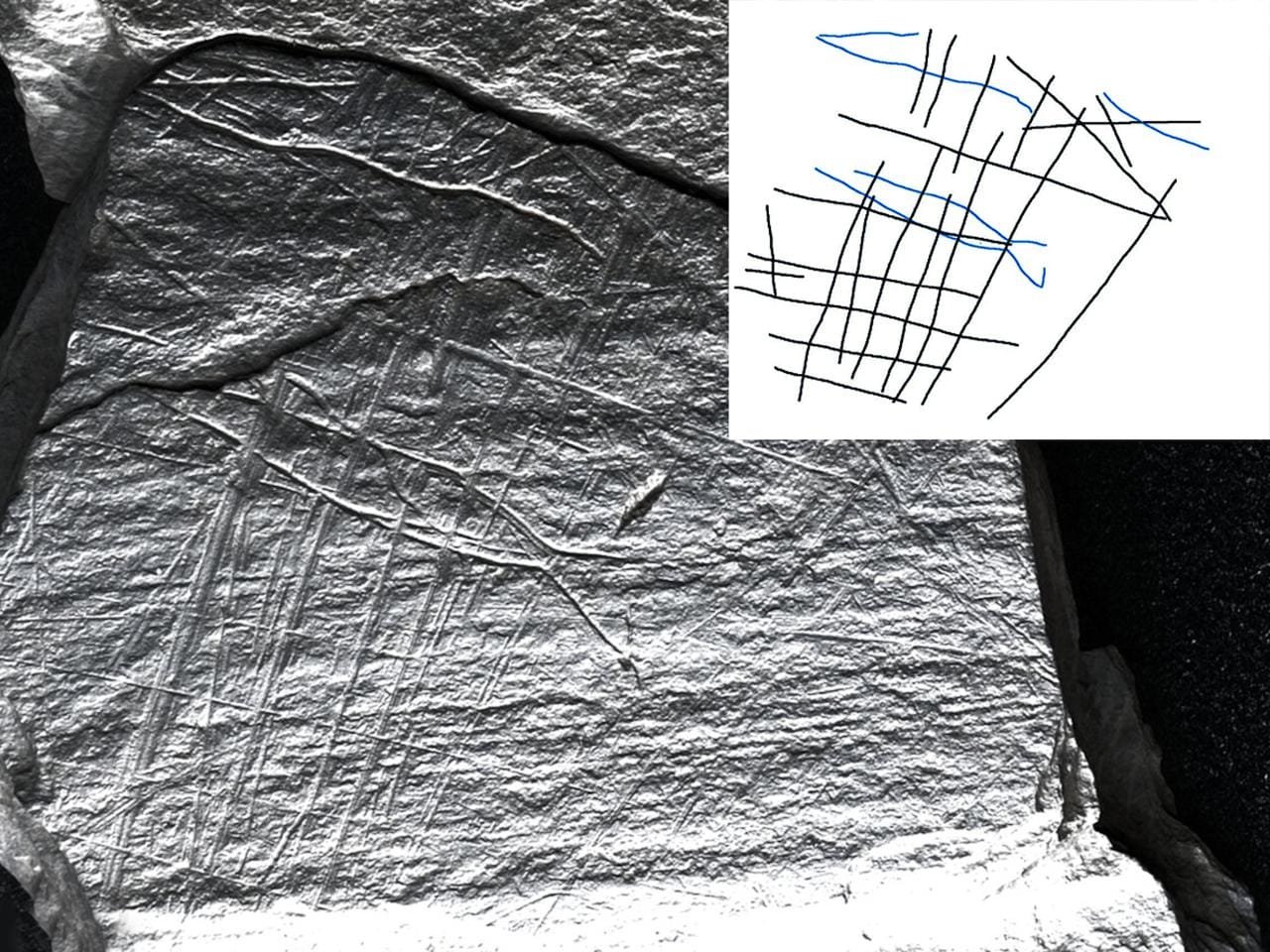 15,800-year-old Ice Age engravings reveal earliest depictions of fish trapping