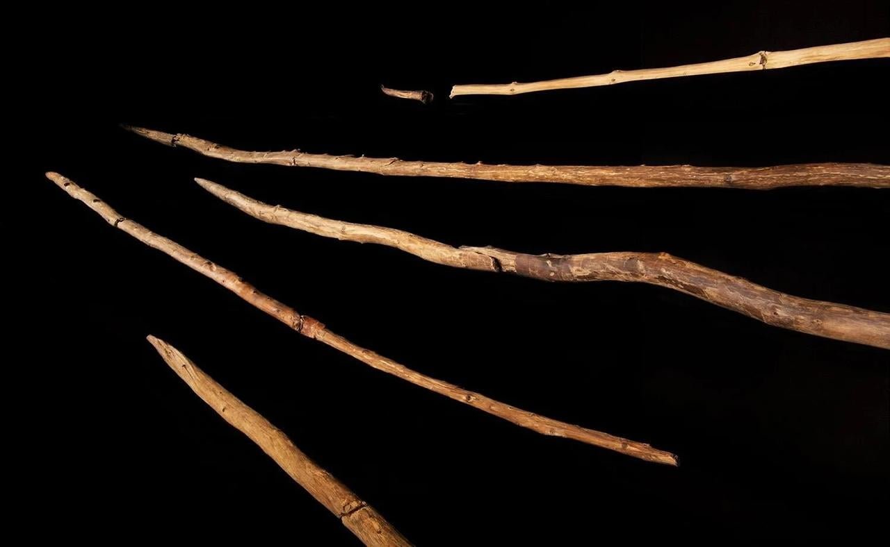 Early humans used sophisticated woodworking techniques to hunt animals, study shows