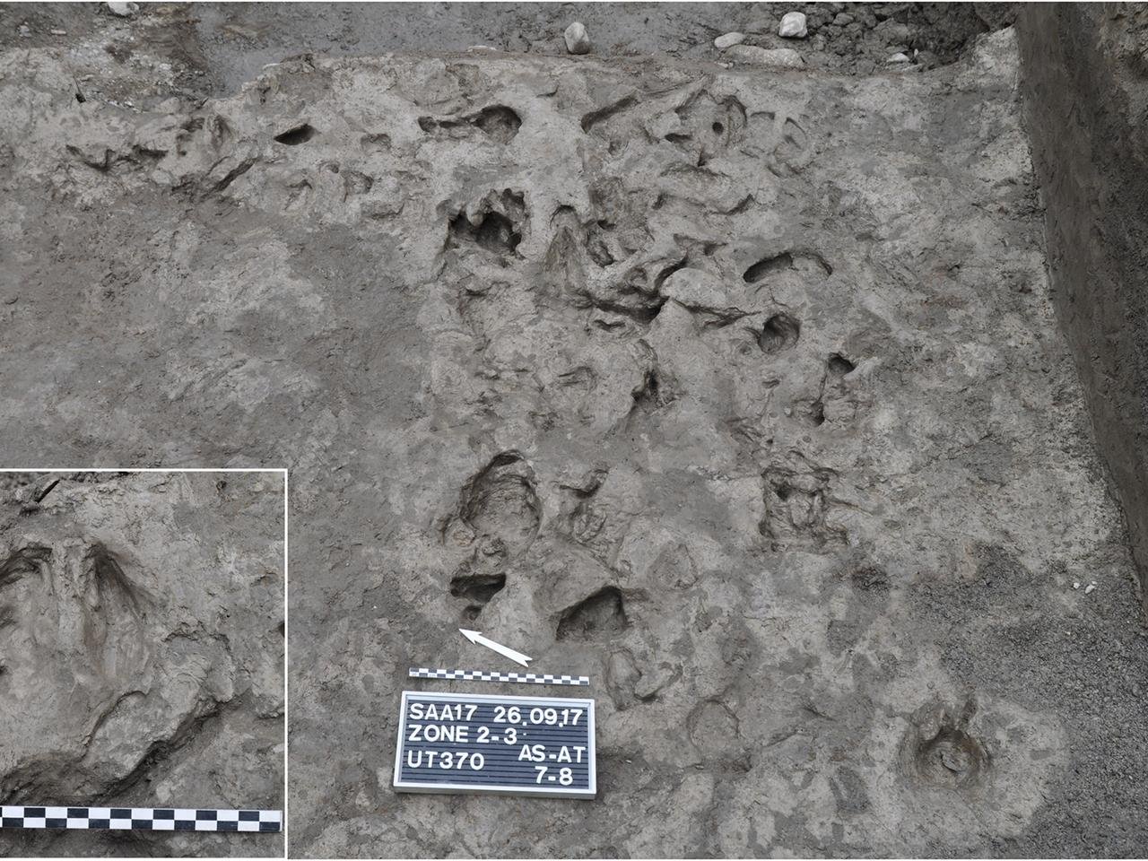 Europe’s oldest plow marks discovered at Anciens Arsenaux site in Switzerland Europe’s oldest plow marks discovered at Anciens Arsenaux site in Switzerland